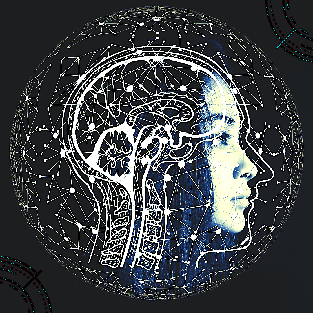 Conhecimento necessário para compreender o Neurodesenvolvimento